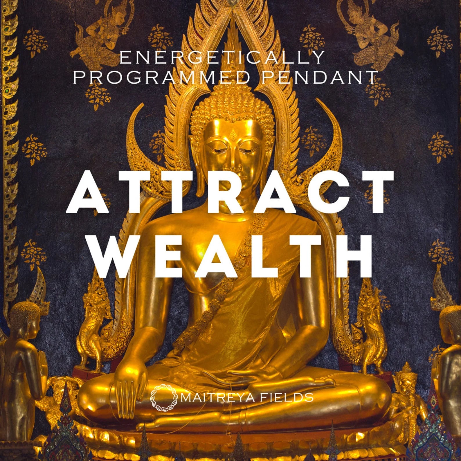 Attract Wealth Pendant 96/ Chrysopoeia Series - Stainless Steel Necklace / Maitreya Fields - Energetically Programmed