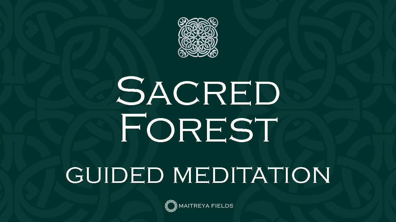 Load video: The Forge of Destiny in the Sacred Forest | Maitreya Fields Cosmetics Guided Meditation