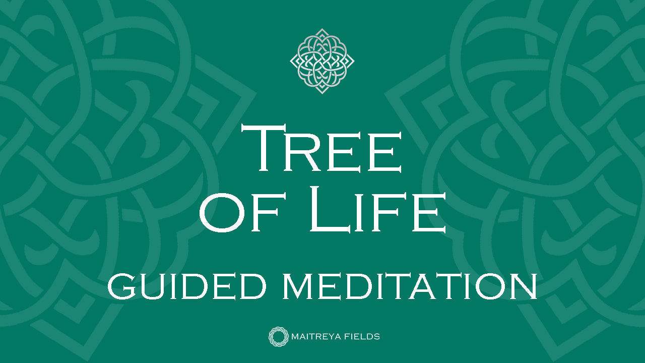 Load video: Tree of Life: Strength and Perseverance | Guided Meditation by Maitreya Fields #guidedmeditation