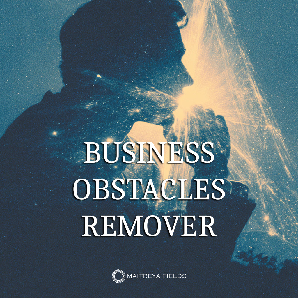 Business Obstacles Remover
