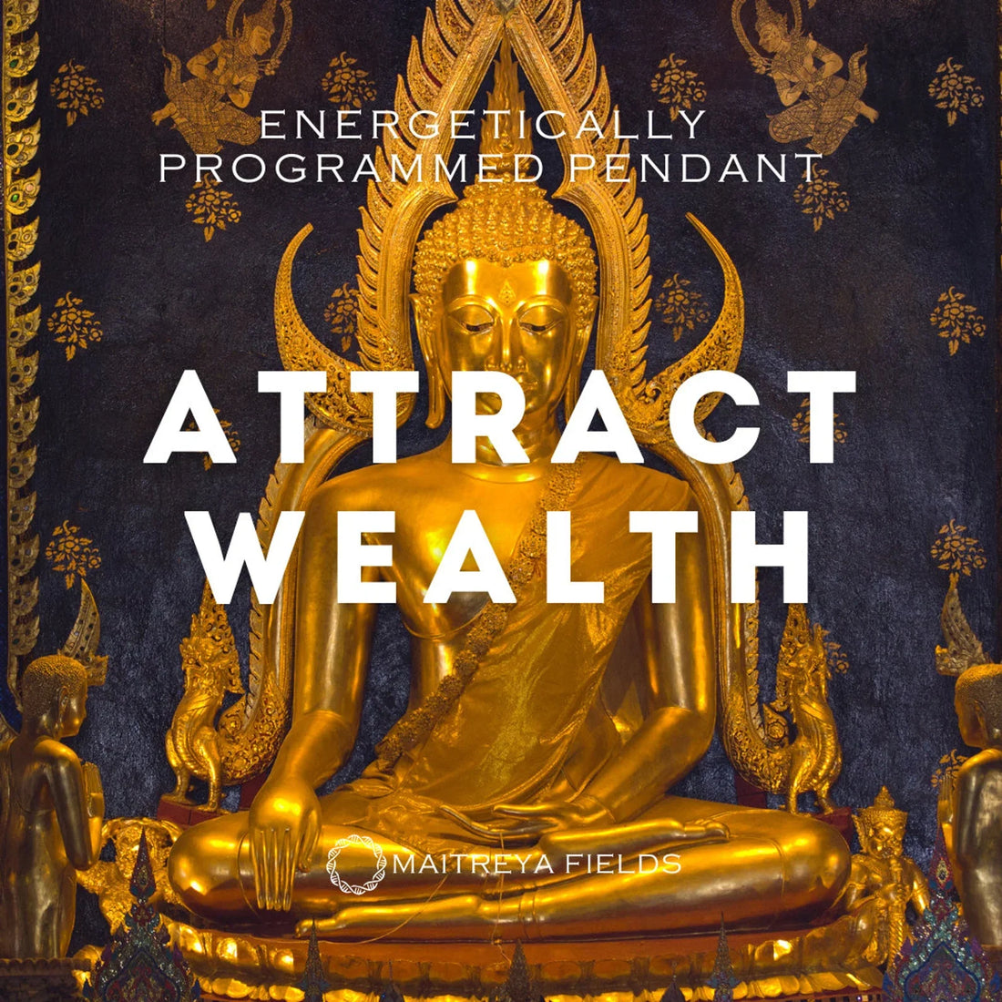 🎁 Attract Wealth Pendant 96/ Chrysopoeia Series - Stainless Steel Necklace / Maitreya Fields - Energetically Programmed (100% off)