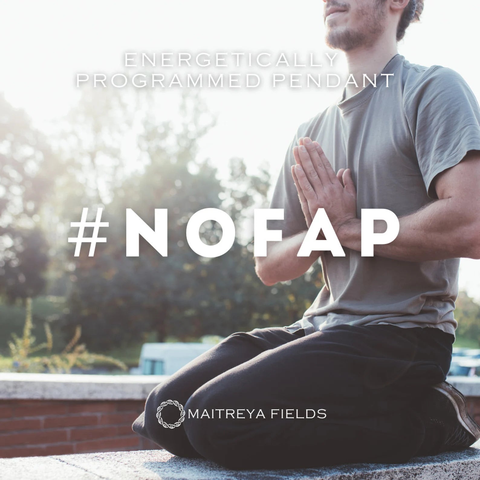 NoFap Pendant 138 / Chrysopoeia Series / Maitreya Fields - Energetically Programmed