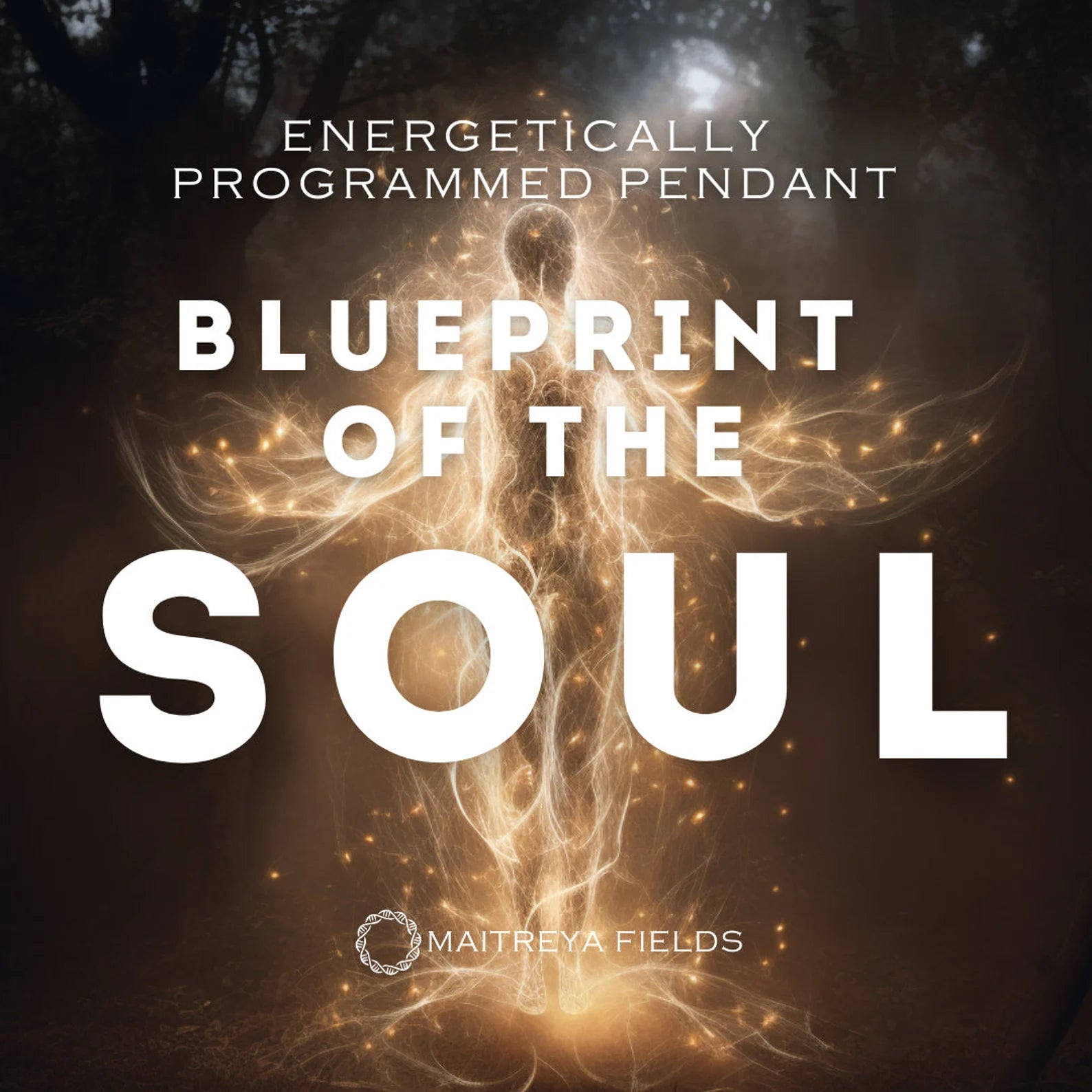 Blueprint of Soul 129 / Chrysopoeia Series / Maitreya Fields - Energetically Programmed