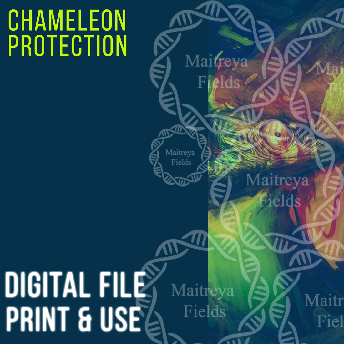Chameleon Protection – Energie-Schutz [DM + Audio]